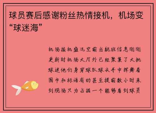 球员赛后感谢粉丝热情接机，机场变“球迷海”