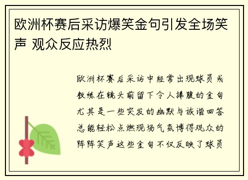 欧洲杯赛后采访爆笑金句引发全场笑声 观众反应热烈